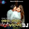 About Mote Pagal Karidela DJ Song